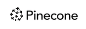 Financial Auditor Agent