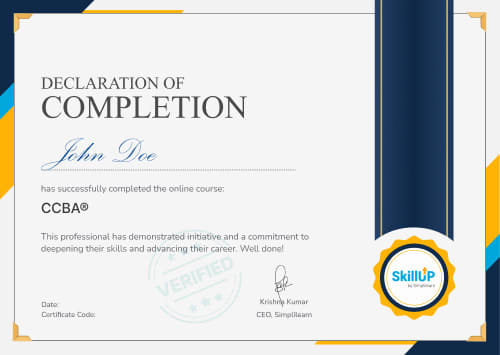 Learn CCBA Basics | CCBA Fundamentals