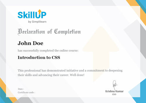 Learn the Basics of CSS | Introduction to CSS
