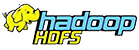 hdfs