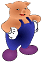 pig