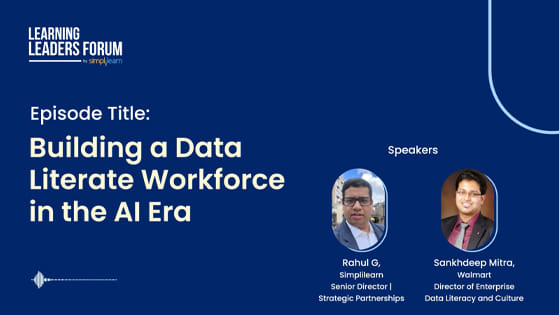 Building a Data-Literate Workforce in the AI Era