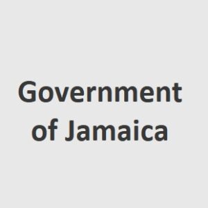 Picture of Project Analyst