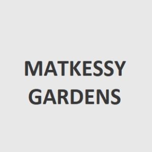 Picture of Database Specialist