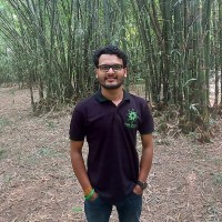 Picture of Ajit Kumar Pallai